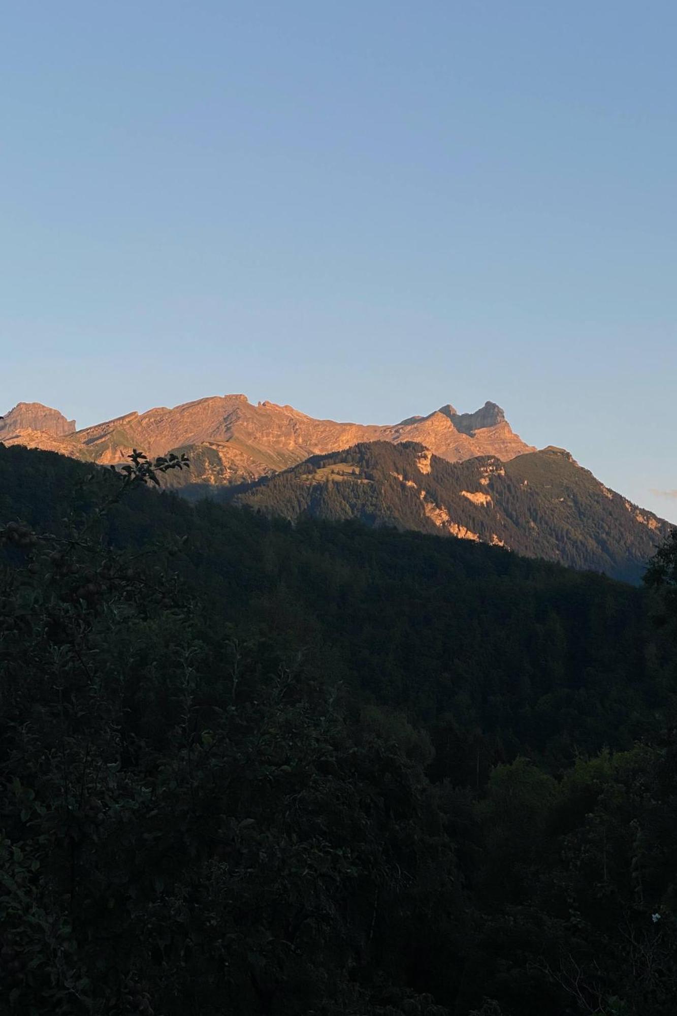 La Petite Grange Villa Villars-sur-Ollon Luaran gambar